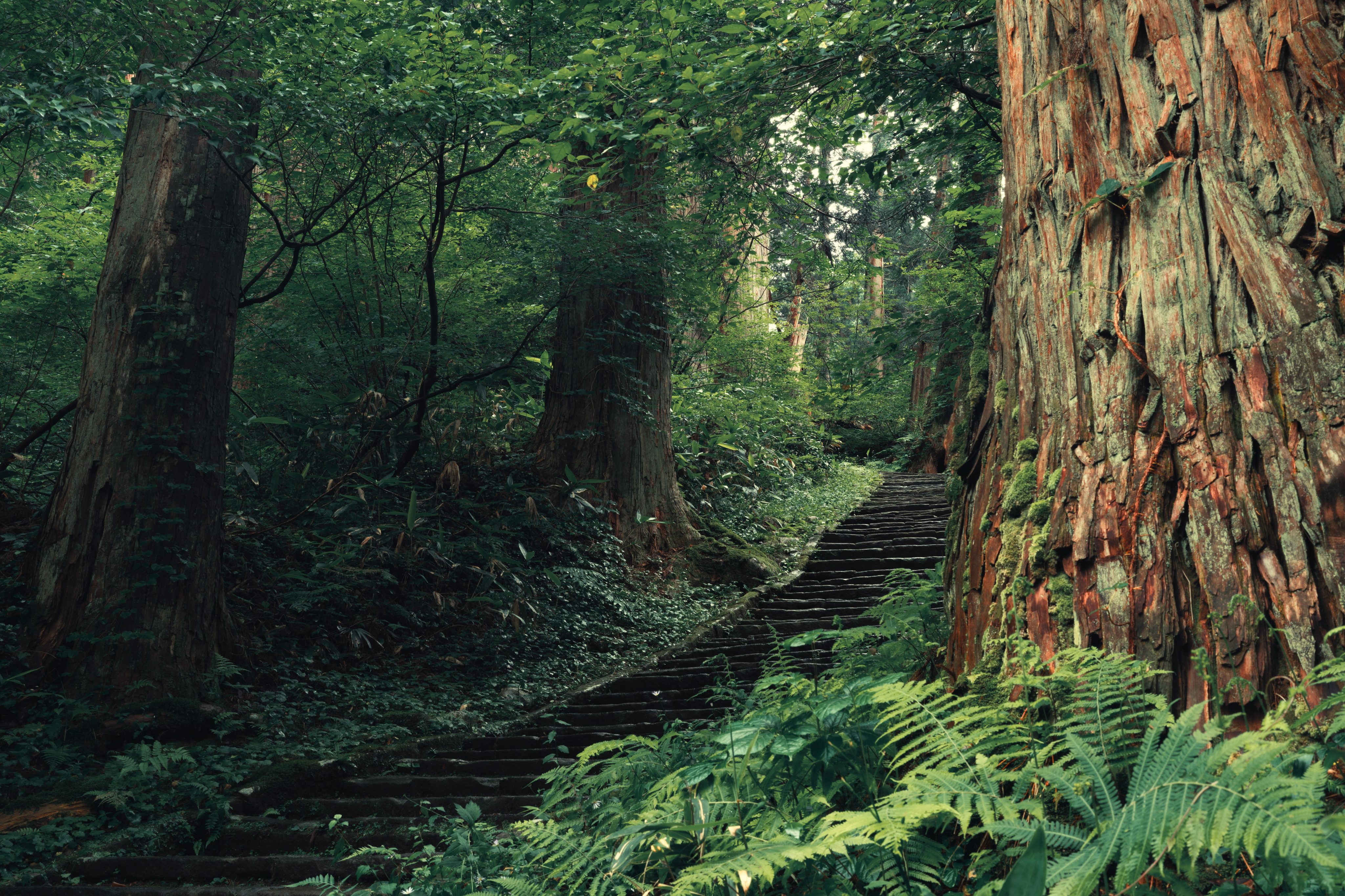 A NOTE TO READERS OF THIS WEBSITE